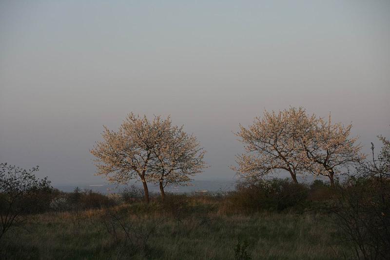 Pvodn obrzek
